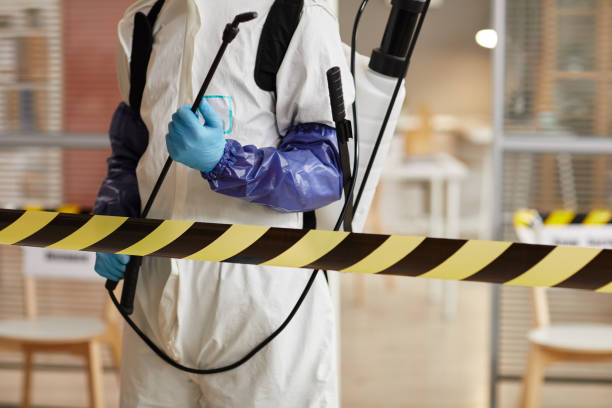 Professional Sewage Cleanup technician working in West Olive, MI